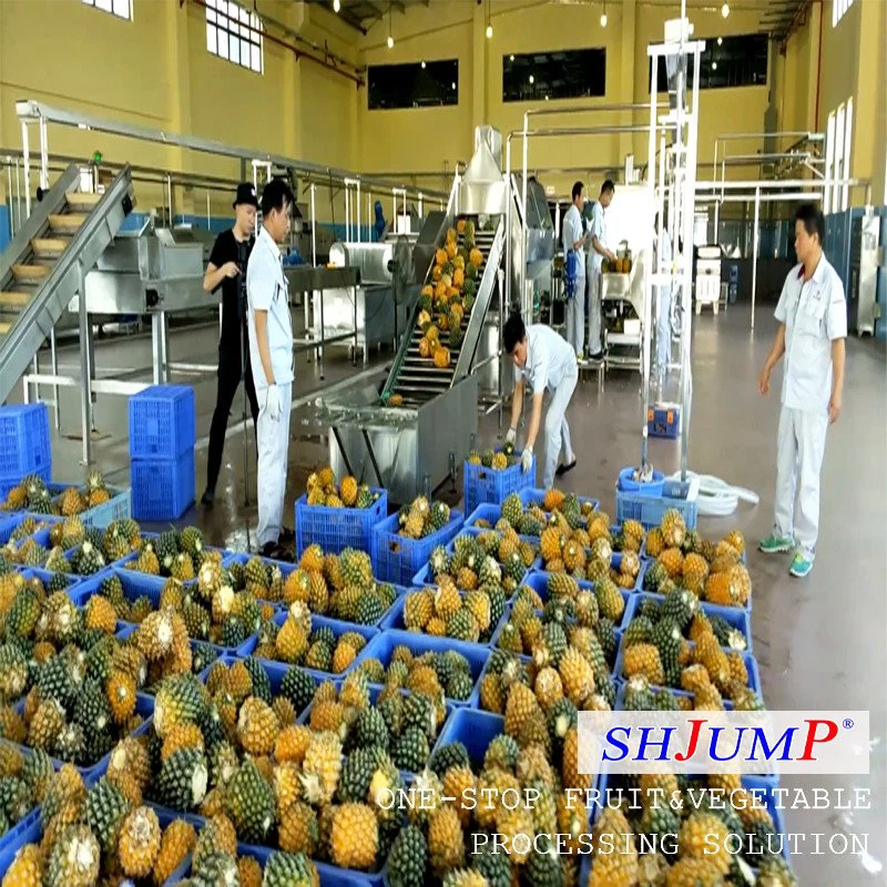 Ananas sharbatini qayta ishlash liniyasi