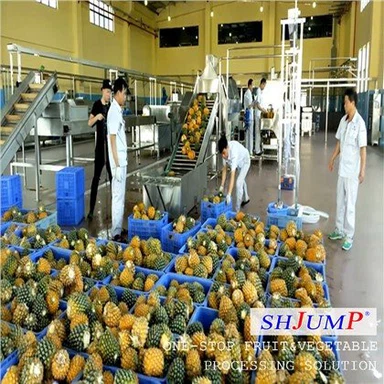 Ananas sharbatini qayta ishlash liniyasi