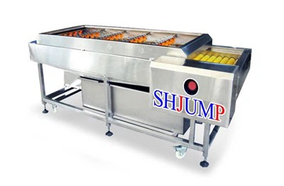 Sabzavot va mevalarni tozalash mashinasi